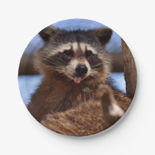 Plato De Papel Raccoon gracioso dice que es lengua fuera