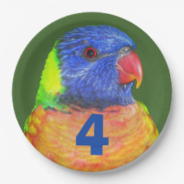 Plato De Papel Rainbow Lorikeet, la edad de nacimiento del niño
