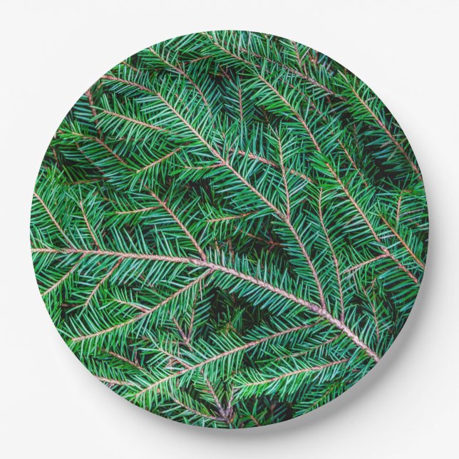 Plato De Papel Rama de árbol de abeto (Anverso)