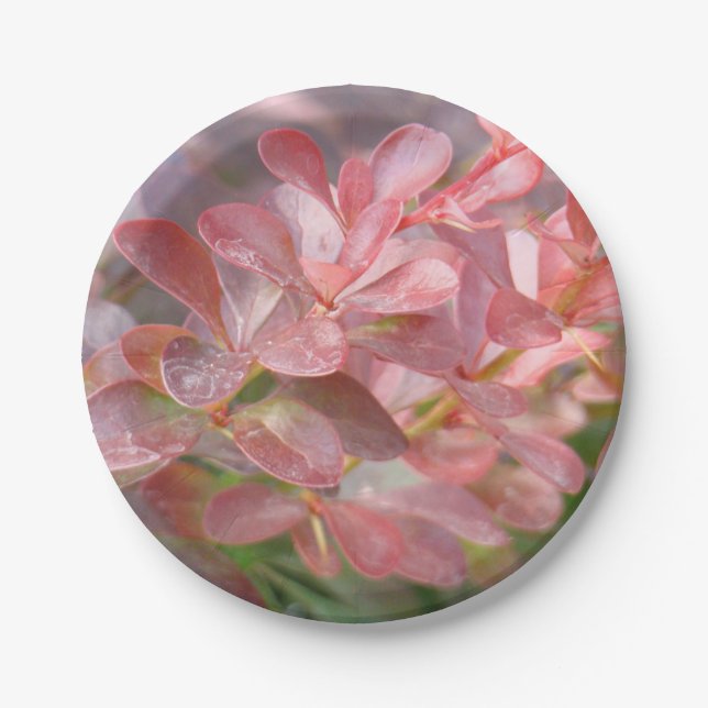 Plato De Papel Ramas rosadas de bonito (Anverso)