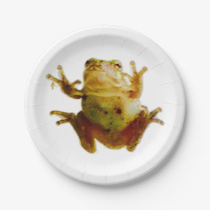 Plato De Papel Rana amigable 4Frank