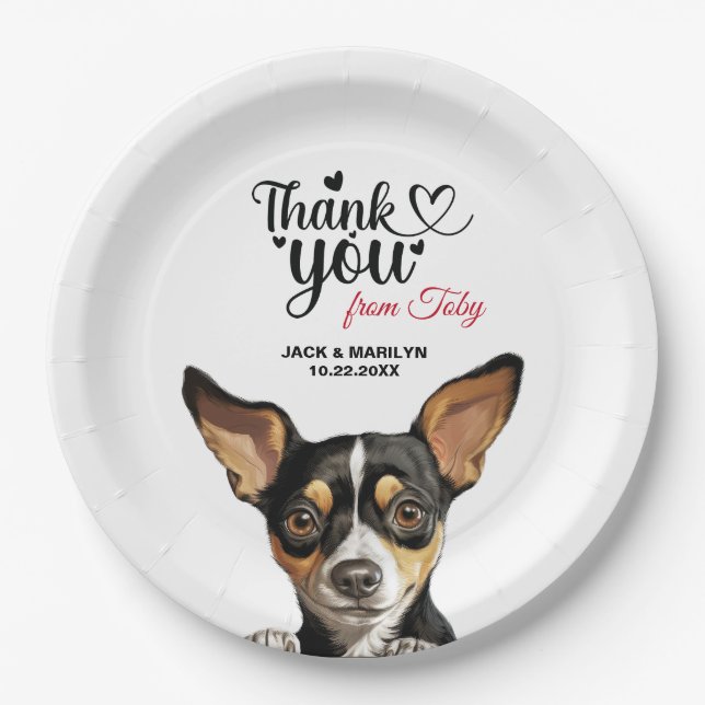 Plato De Papel Rat Terrier (Anverso)