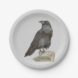 Plato De Papel Raven