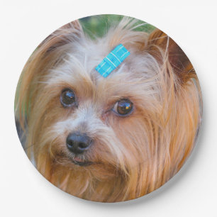 Plato De Papel Raza favorita de Yorkshire Terrier Yorkie