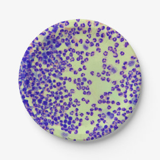 Plato De Papel rbcs wbcs laboratorio de diapositivas microscopía 