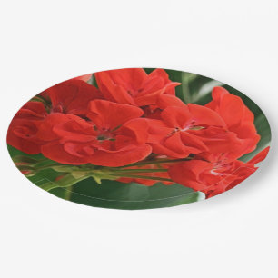Plato De Papel Red Geranium