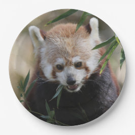 Plato De Papel Red_Panda_2015_0311