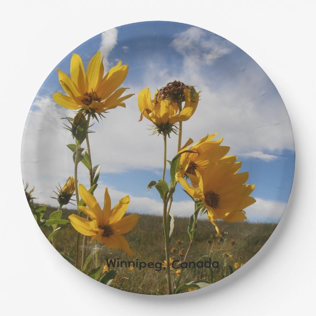 Plato de papel redondo Prairie Sunset (Anverso)