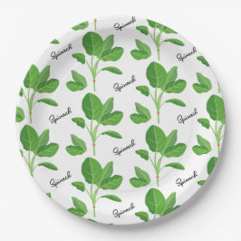 Plato De Papel Regimento