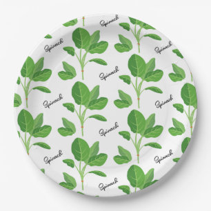 Plato De Papel Regimento