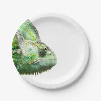 Plato De Papel Reptil exótico
