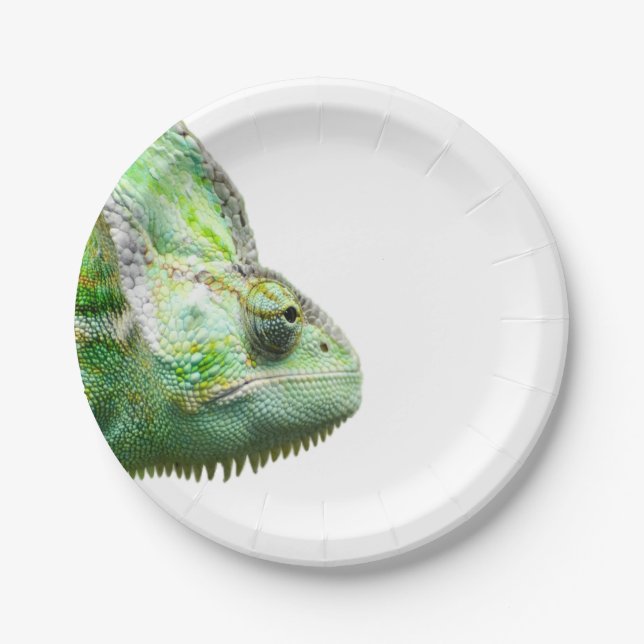 Plato De Papel Reptil exótico (Anverso)