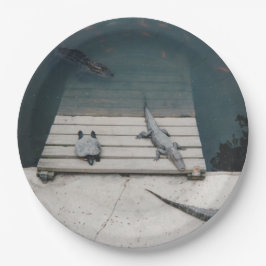 Plato De Papel Reptiles Basking