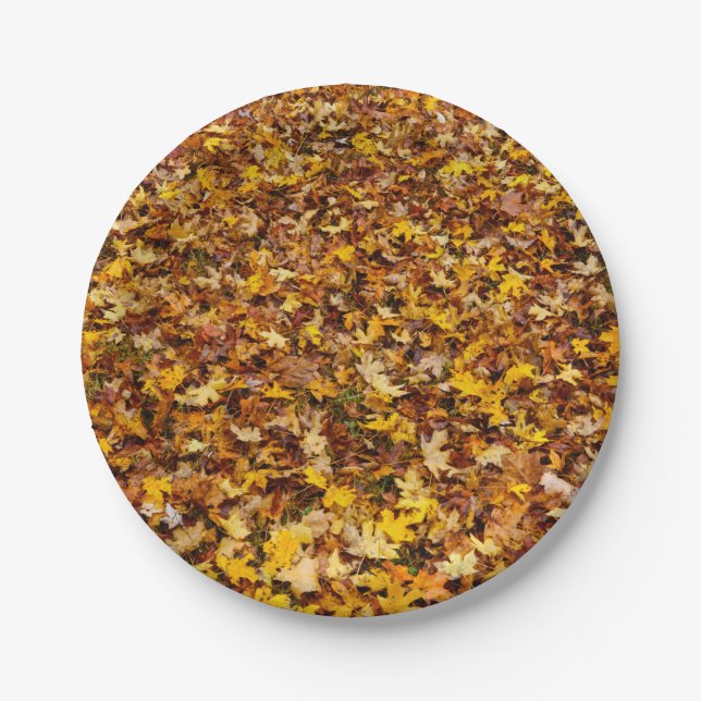 Plato De Papel Resumen de las hojas de otoño (Anverso)