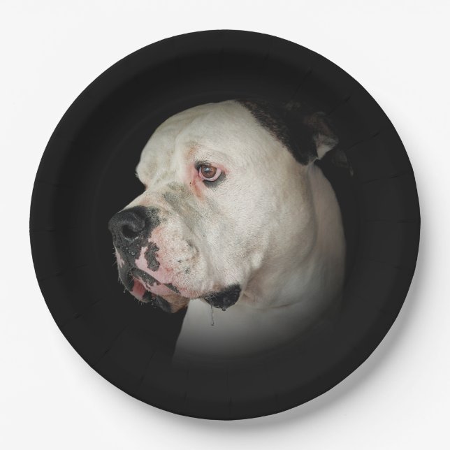 Plato De Papel Retrato de Bulldog americano (Anverso)
