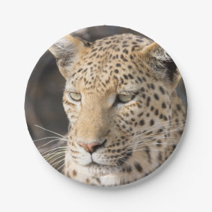 Plato De Papel Retrato de leopardo