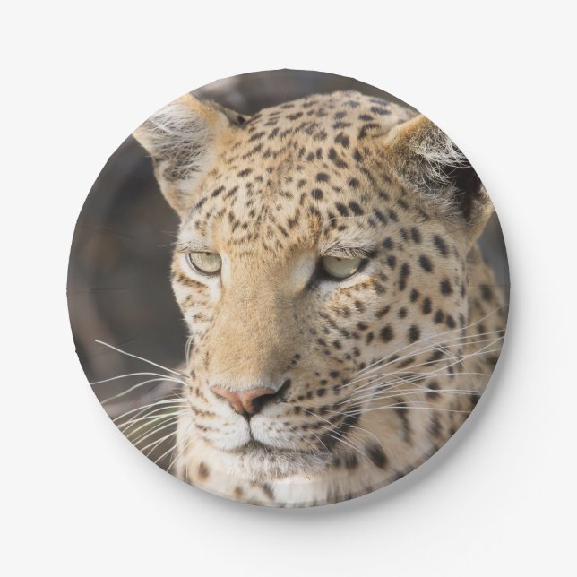 Plato De Papel Retrato de leopardo (Anverso)