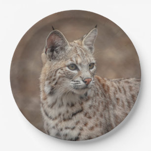 Plato De Papel Retrato de una Bobcat