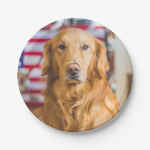 Plato De Papel Retrato del perro del golden retriever