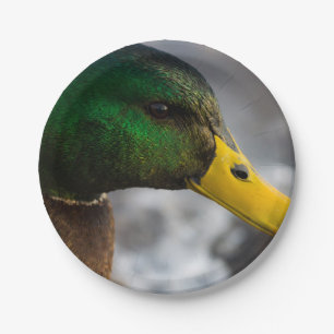 Plato De Papel Retrato masculino mallard