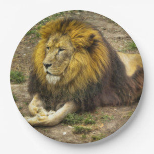 Plato De Papel Rey de la placa de papel del parque zoológico