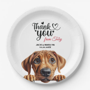 Plato De Papel Rhodesian Ridgeback Boda Gracias