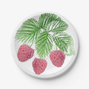 Plato De Papel Ripe, bayas, frambuesas