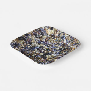 Plato De Papel Riqueza De Las Semillas