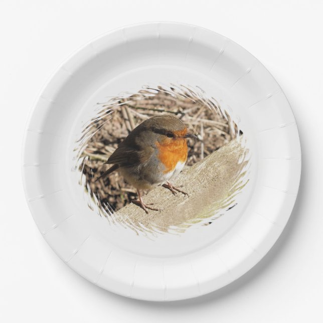 PLATO DE PAPEL ROBIN (Anverso)