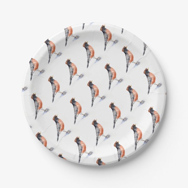 Plato De Papel Robin Bird en Gorra (Anverso)