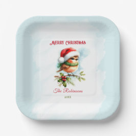 Plato De Papel Robin Cuidado En La Plaza De Los Navidades Clásico