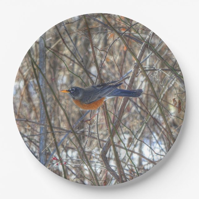 Plato De Papel Robin estadounidense (Anverso)