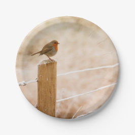 Plato De Papel Robin Redmama