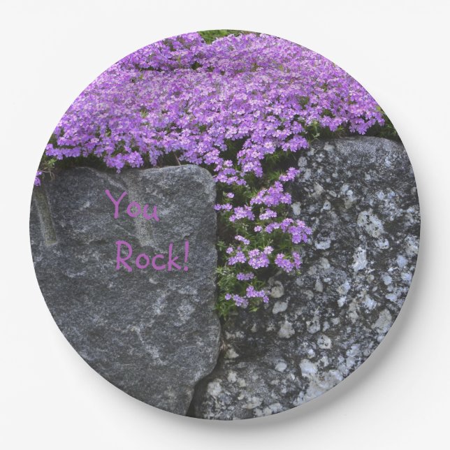 Plato De Papel Rock Purple Phlox (Anverso)