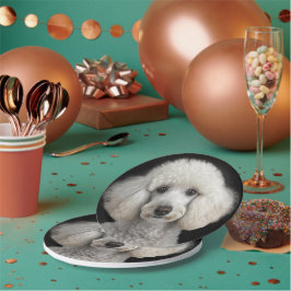 Plato De Papel Rocky