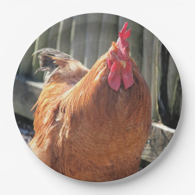 Plato De Papel Rojo (Anverso)