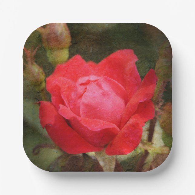 Plato De Papel Rojo, rosa rojo (Anverso)