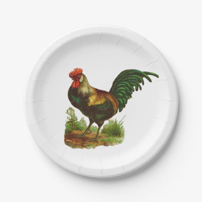 Plato De Papel Rooster (Anverso)