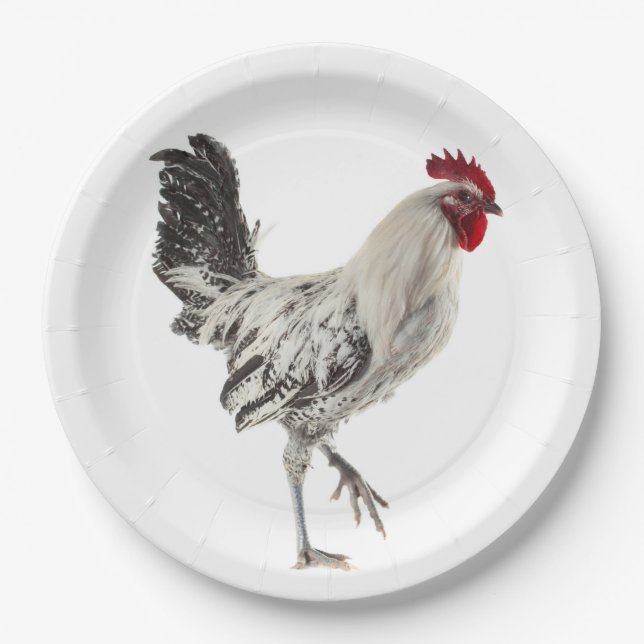 Plato De Papel Rooster egipcio de Fayoumis (Anverso)