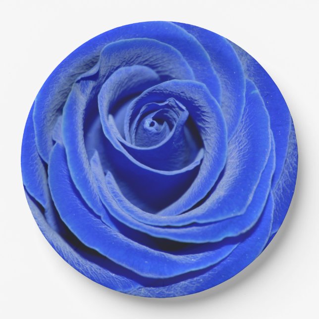 Plato De Papel Rosa azul (Anverso)