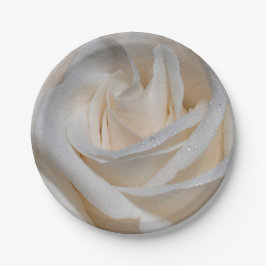 Plato De Papel Rosa blanca 7127 con dew