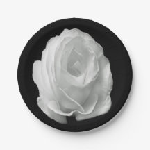 rosa blanco sobre el fondo negro