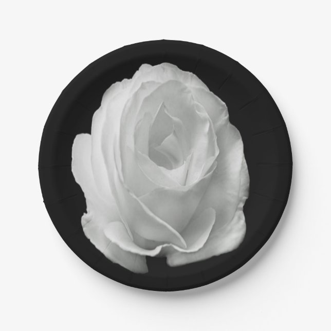 Plato De Papel rosa blanco sobre el fondo negro (Anverso)