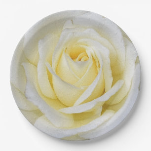 Plato De Papel Rosa blanco y amarillo