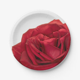 Plato De Papel rosa Boda Rojo de 1822