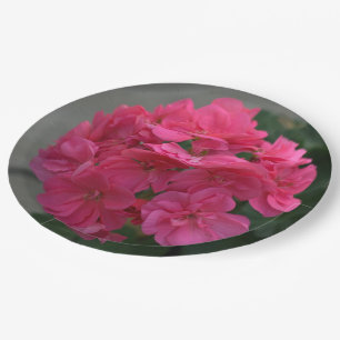 Plato De Papel Rosa bonito Geranium Floral