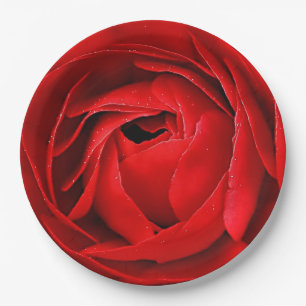 PLATO DE PAPEL ROSA ROJO