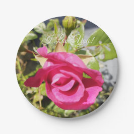 Plato De Papel Rosa rosa #2