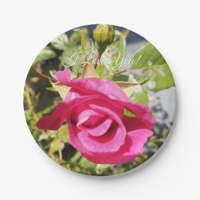 Plato De Papel Rosa rosa #2 (Anverso)