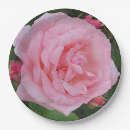 Plato De Papel Rosa rosa clásico